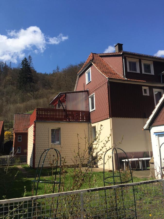 Haus Am Fluss Mit Wunderschoener Dachterrasse Mit Flussblick ,Garten Und Grill Zorge Luaran gambar