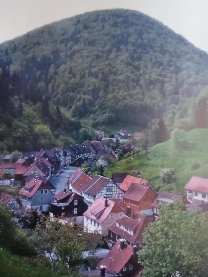 Haus Am Fluss Mit Wunderschoener Dachterrasse Mit Flussblick ,Garten Und Grill Zorge Luaran gambar